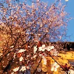 Vila Veselova, City Center 卢布尔雅那