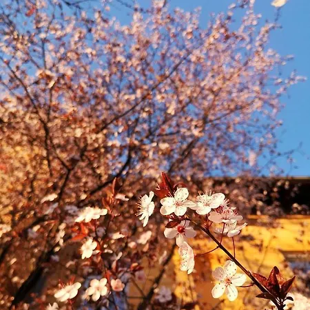 Vila Veselova, City Center リュブリャナ
