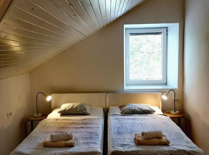 Vila Veselova, City Center Hostel *