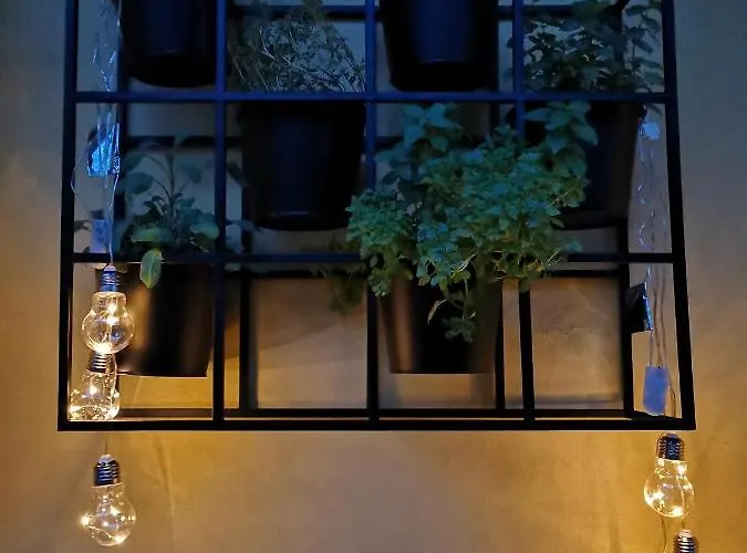 Vila Veselova, City Center Ljubljana